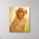 Search for selected baby kids Cute animals