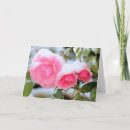 Search for knockout cards Floral