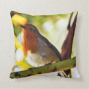 Search for robin red breast Nature