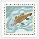 Search for australian animals stickers Marsupials