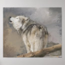 Search for wolf posters Animal
