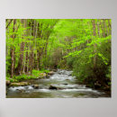 Search for smokey mountain art Tree
