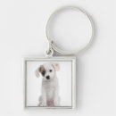 Search for animal crossing key rings Animals