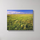 Search for remote canvas prints Landscape