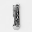 Search for elephant skateboards Wildlife