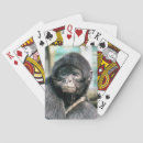 Search for monkey playing cards Cute
