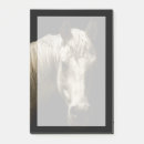 Search for horse post it notes Portraits