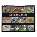 Search for lizard calendars Iguana