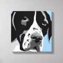 Search for black pointer Dogs