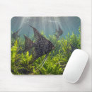 Search for angelfish mousepads Aquatic