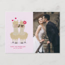Search for llama love valentines day cards Llamas