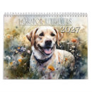 Search for labrador retriever calendars Labradors