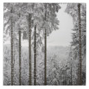 Search for evergreen tiles Outdoors