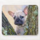 Search for fork mousepads Cute