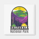 Search for hawaii souvenir magnets Travel