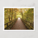 Search for railways postcards Nature