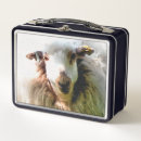 Search for sheep lunch boxes Animals