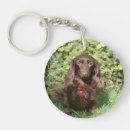 Search for dachshund pictures key rings Dachshund long haired miniature