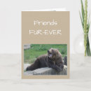 Search for gossiping cards Humour
