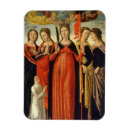 Search for bellini magnets C 1430 1516