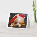 Search for hound christmas cards Puppy