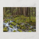 Search for washington state parks postcards Moss