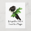 Search for magpie postcards Bird