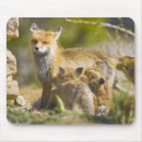 Search for breckenridge mousepads Nobody