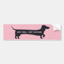 Search for funny dachshund bumper stickers Humour