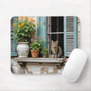 Search for window ledge Pet
