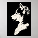 Search for malamute dog posters Dogs