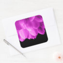 Search for flower petals stickers Floral