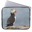 Search for puffin electronics Nature