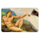 Search for tortoiseshell magnets Tortie