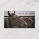 Search for physiotherapist business cards Equine chiropractor