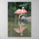 Search for pink flamingo art Reflection