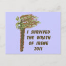 Search for hurricane Survivor