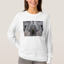 Search for f 22 raptor tshirts Aircraft