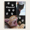 Search for adopt office supplies Animal
