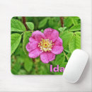 Search for plants mousepads Rose