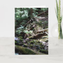 Search for olympic cards Scenic