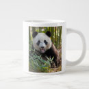 Search for chengdu mugs Bamboo