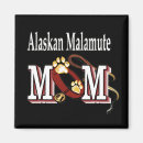 Search for malamute magnets Dogs