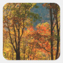 Search for fall leaf stickers Park