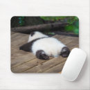 Search for china panda mousepads Animal