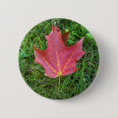 Search for grass badges Autumn
