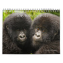 Search for wildlife photography calendars Animal