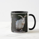 Search for pygmy goat mugs Farm