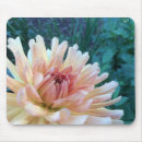 Search for b mousepads Flower