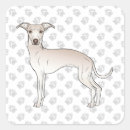 Search for cartoon paws stickers Dog